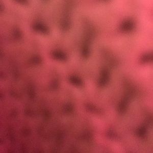 Meet your Posher, Johniesha